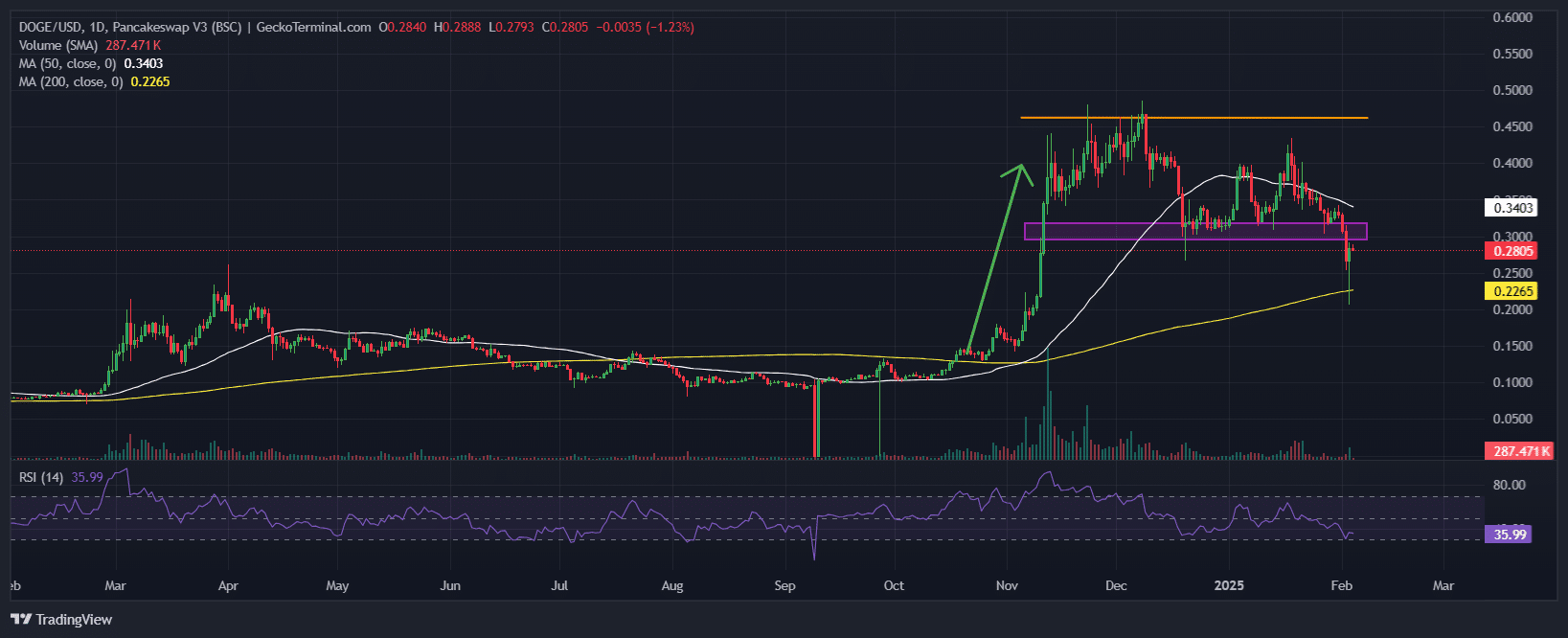 Dogecoin Price Chart Analysis Source: GeckoTerminal