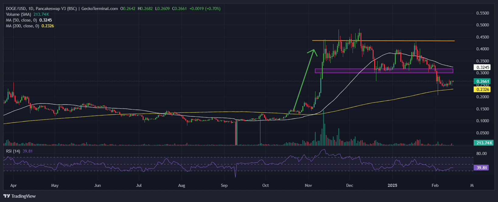 Dogecoin Price Chart Analysis Source: GeckoTerminal