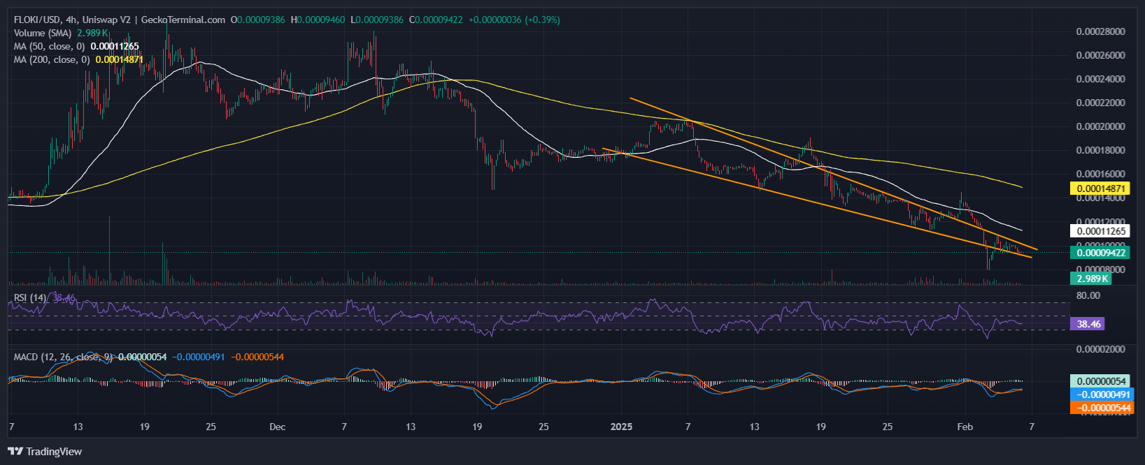 Floki Price Chart Analysis Source: GeckoTerminal