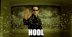 HODL