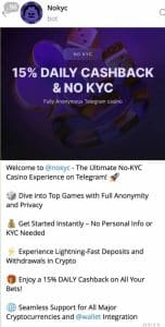 no kyc casino