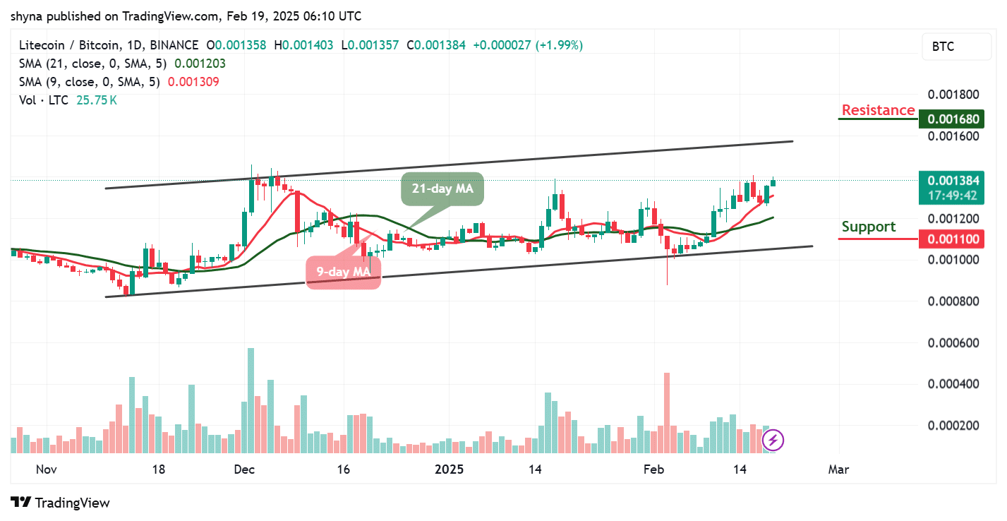 Litecoin predictions for today, February 19 - Technical Analysis LTC