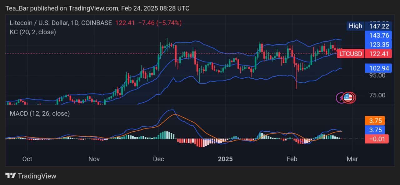 Litecoin predictions for today, February 24 - Technical Analysis LTC