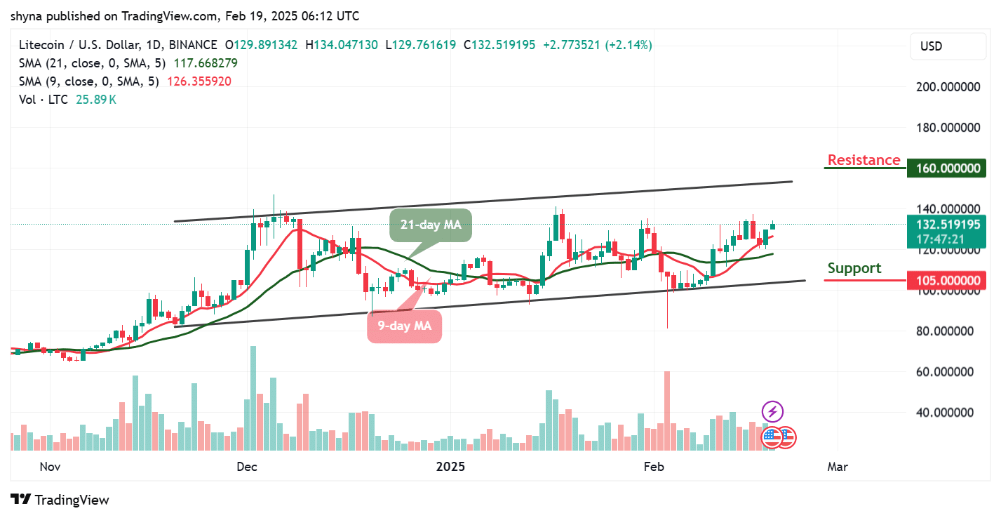 Litecoin predictions for today, February 19 - Technical Analysis LTC