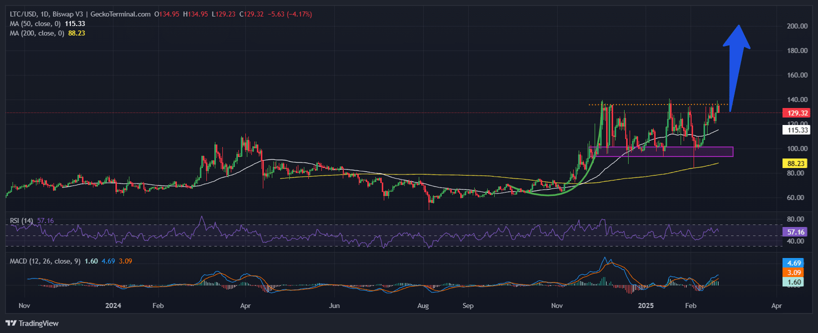 Litecoin Price Chart Analysis Source: GeckoTerminal