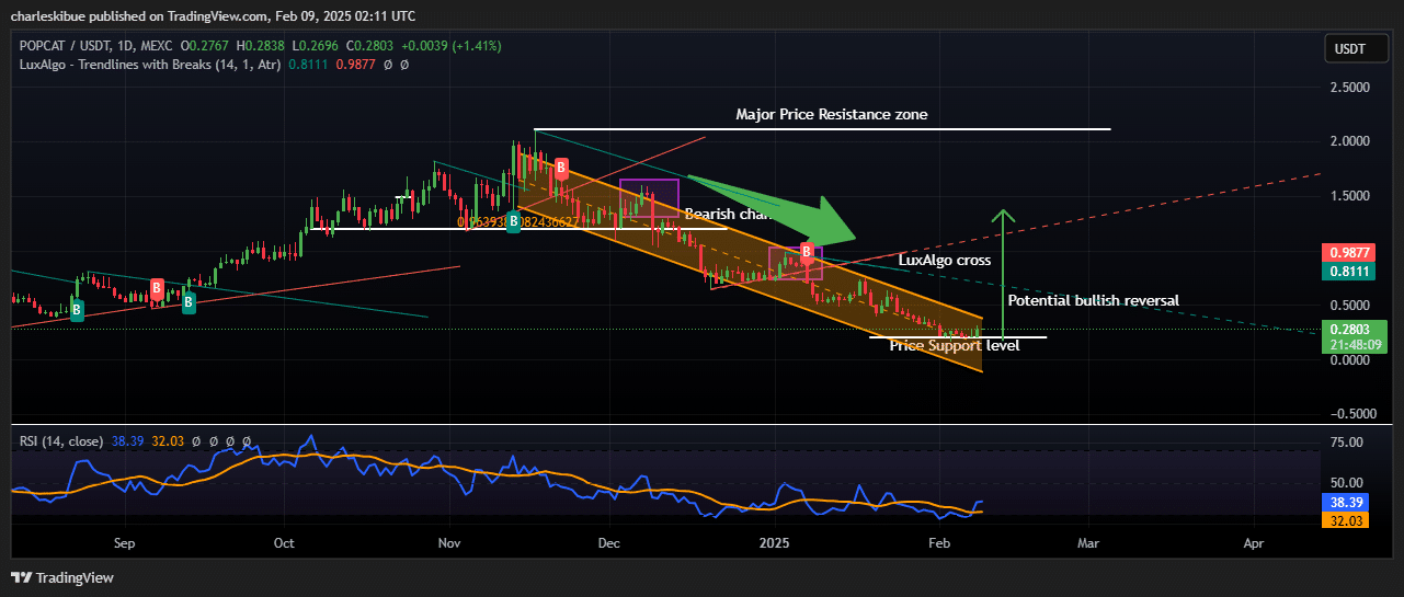 Popcat Worth Prediction: POPCAT Soars 37% After Coinbase Itemizing Information Regardless of Martin Shkreli ''Promote'' Name, However Merchants Pivot To This Rival For 100x Positive aspects