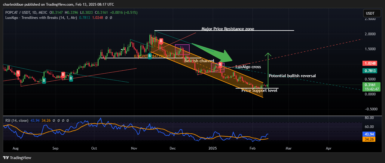 Popcat price