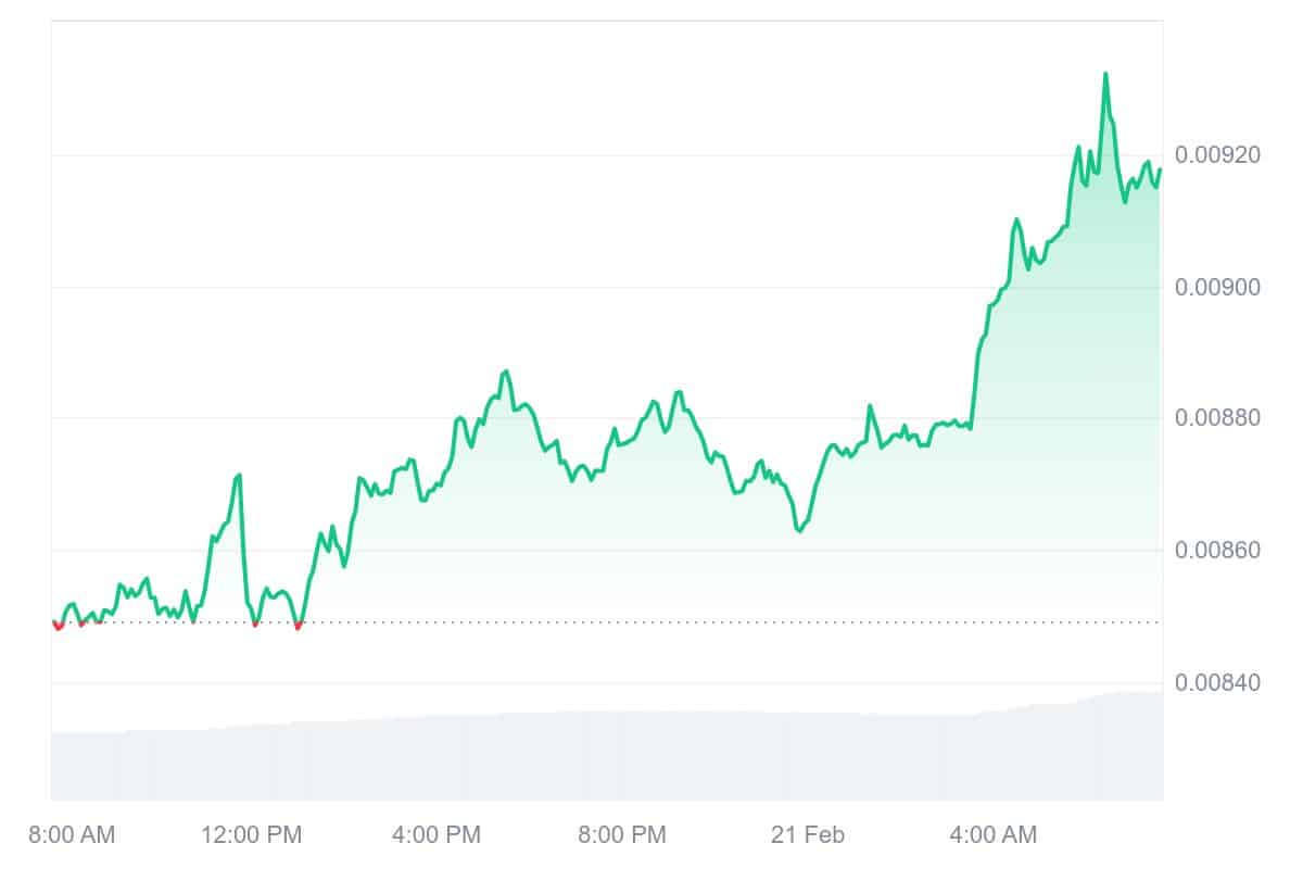 RSR Price Chart