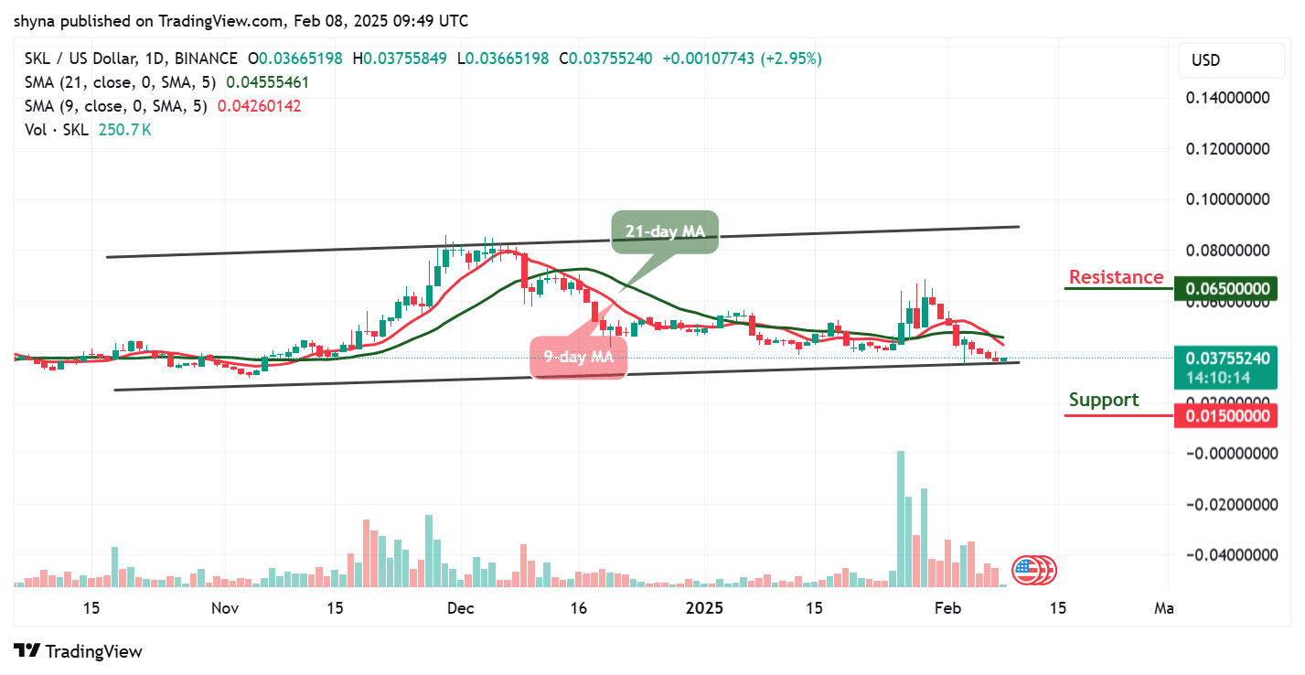 Skale Network Price Prediction for Today, February 8 – SKL Technical Analysis