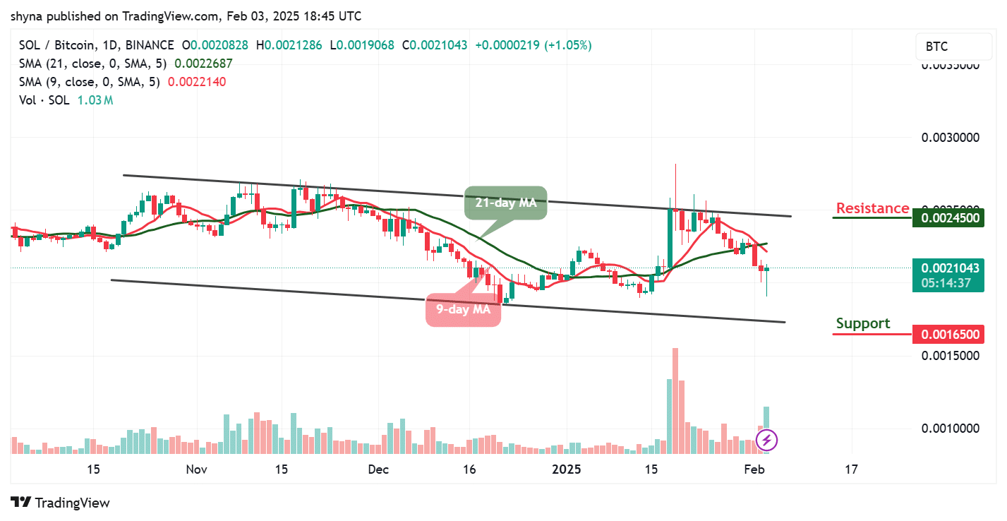 Solana price prediction for today, February 3 - Sol technical analysis