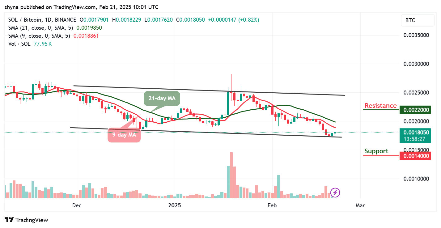 Solana Price Prediction for Today, February 21 – SOL Technical Analysis