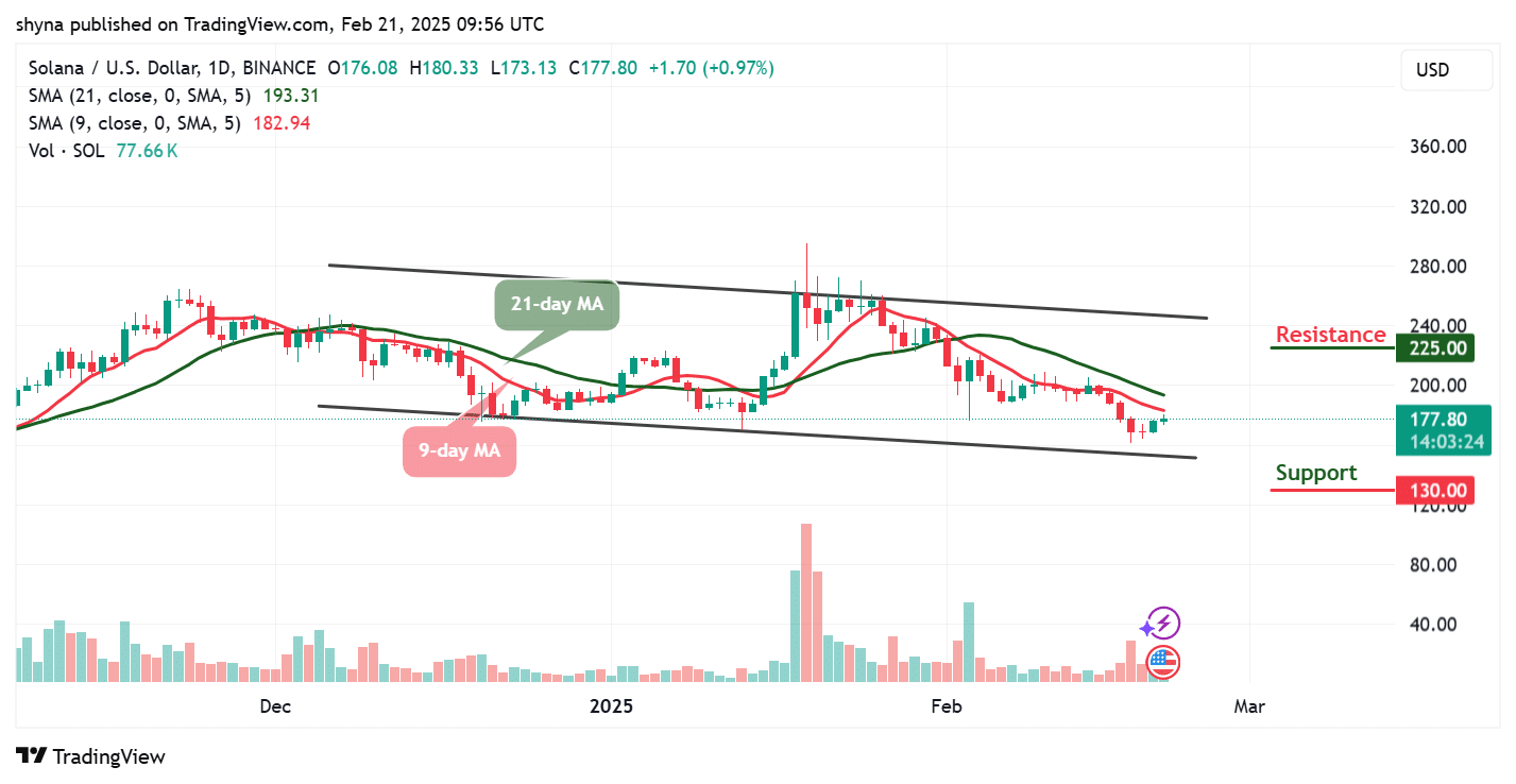 Solana prices for this day, February 21 - Technical Analysis Sol