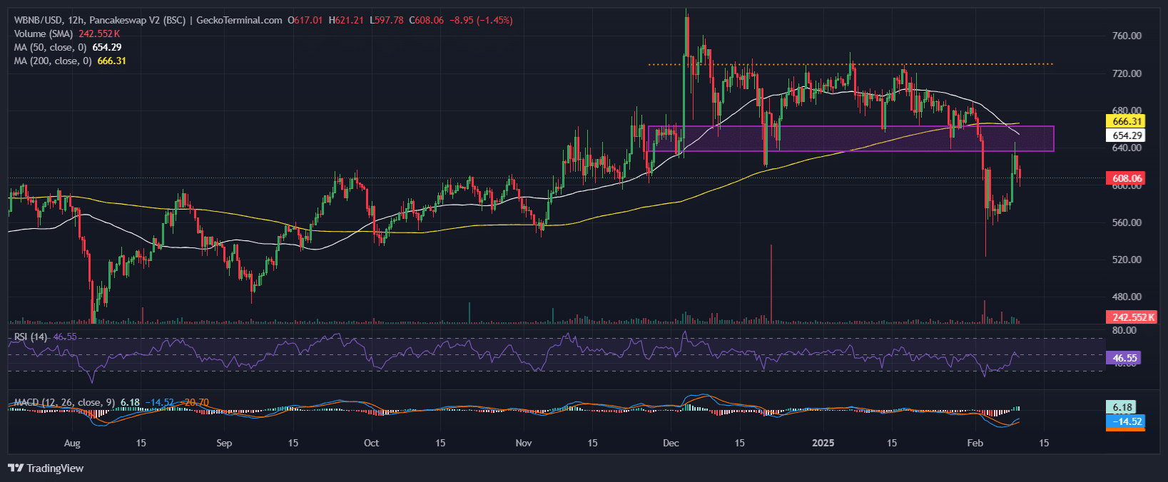 Binance Coin Price Chart Analysis Source: GeckoTerminal