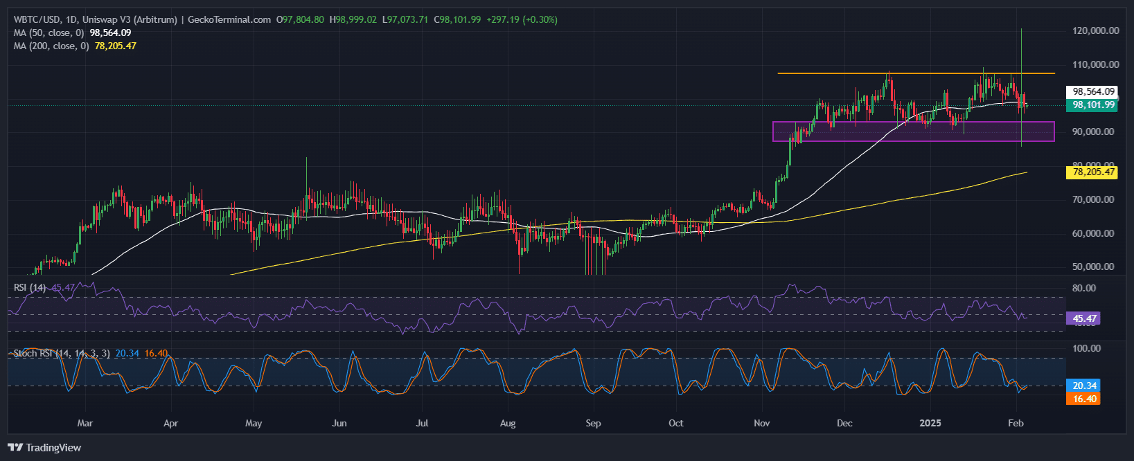 Bitcoin Price Chart Analysis. Source: GeckoTerminal.com