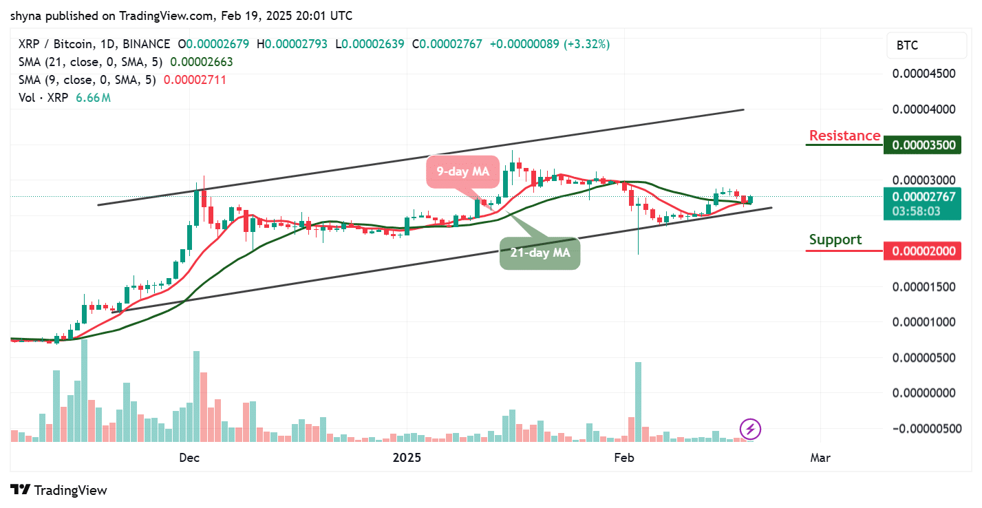 XRP Price Prediction for Today, February 19 – XRP Technical Analysis