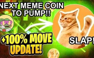 Catslap’s Mega Burn Fuels Hype as Meme Coin Presales Draw Investor FOMO