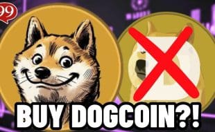 Dogcoin Surges 120% Amid Market Downturn - Should You Buy DCOIN?