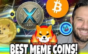 Meme Coin Search Volume Hits Record High While Prices Plunge