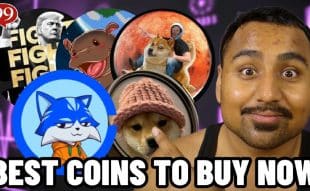 Which Meme Coins Hold the Biggest Potential for Gains During Market Dips?