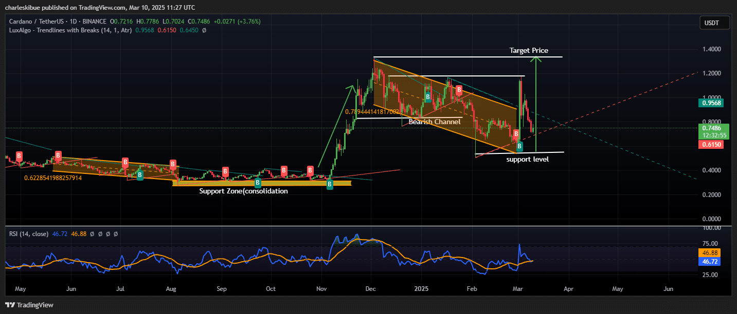 Cardano price