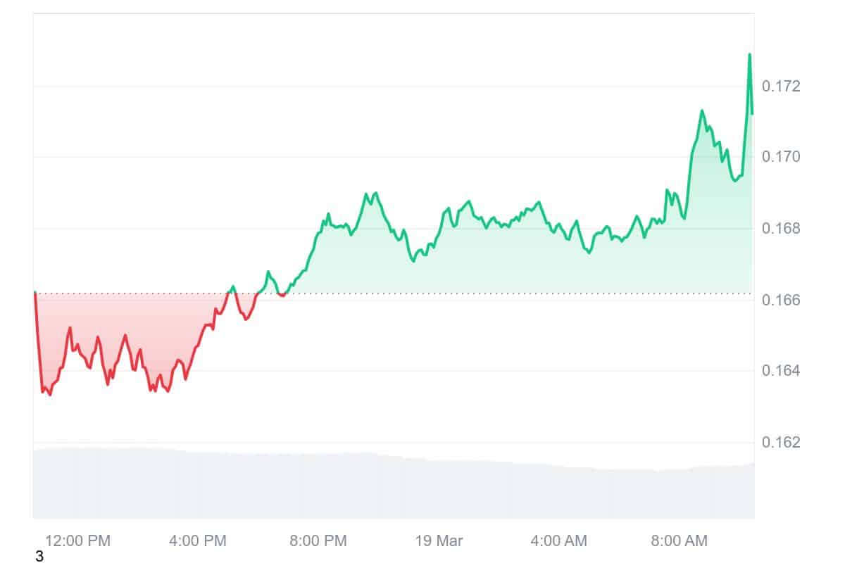 DOGE Price Chart