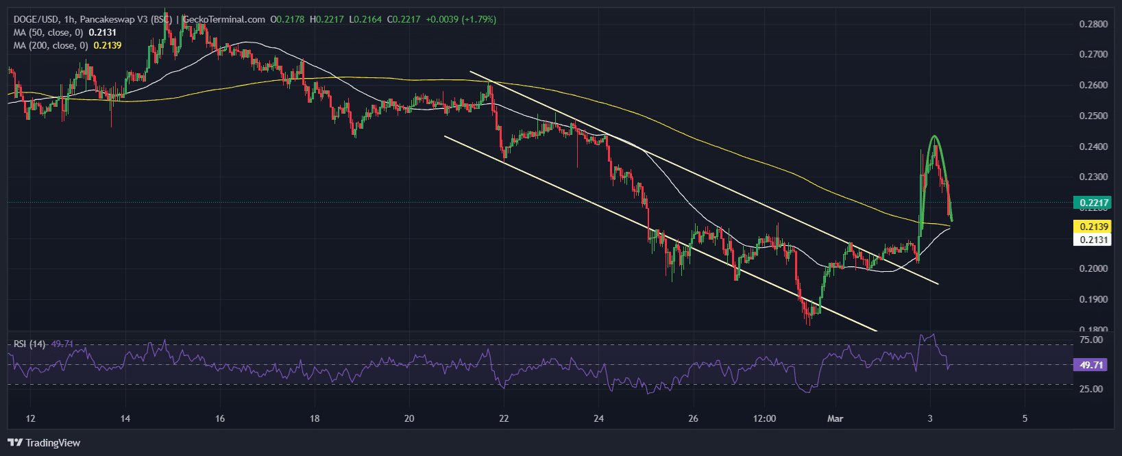 Dogecoin Price Chart Analysis Source: GeckoTerminal