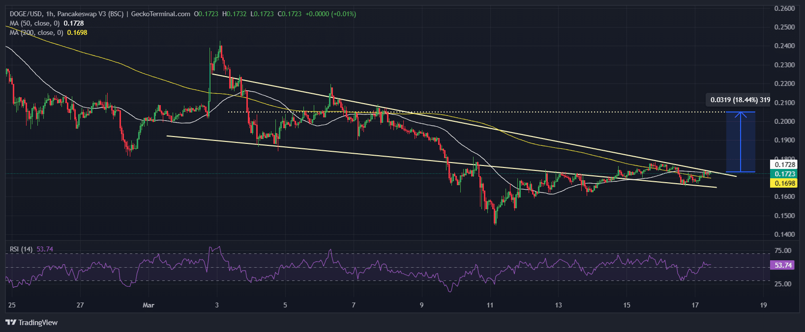 Dogecoin Price Chart Analysis Source: GeckoTerminal