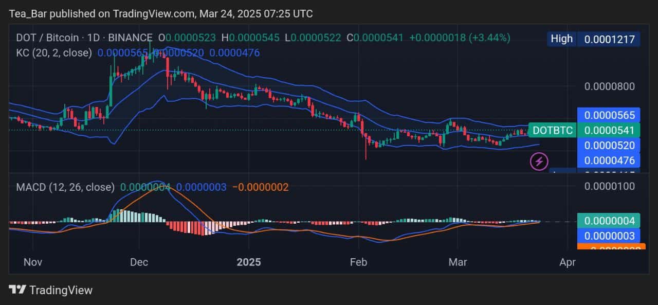 Polkadot Price Prediction for Today, March 24 – DOT Technical Analysis