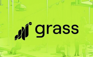 Grass