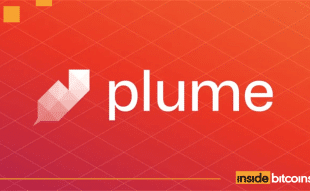 Plume price