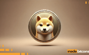 Shiba Inu price