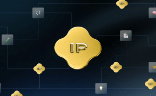 IP