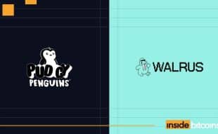 Pudgy Penguins and Walrus_optimized