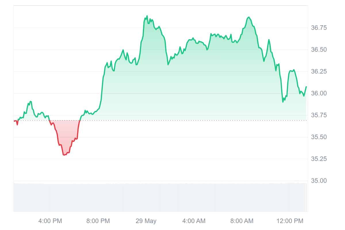 BSV Price Chart