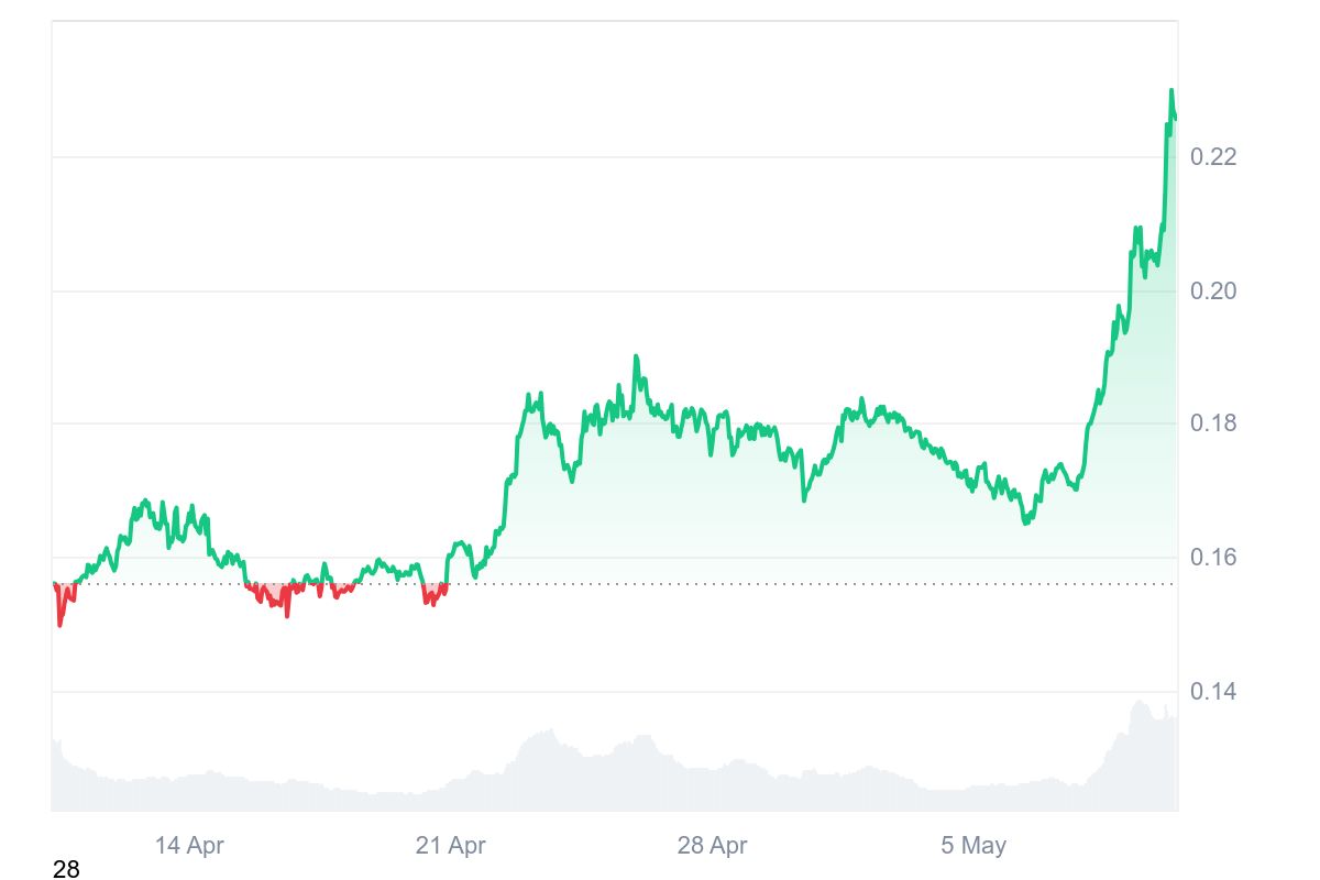 DOGE Price Chart