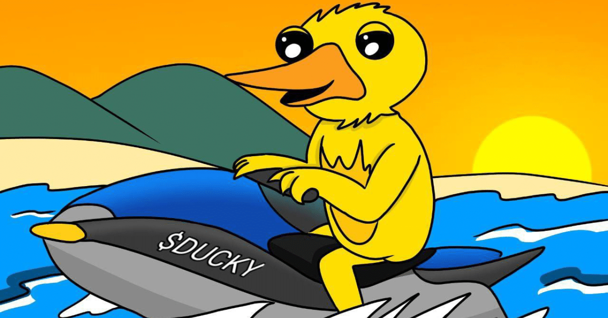 DUCKY