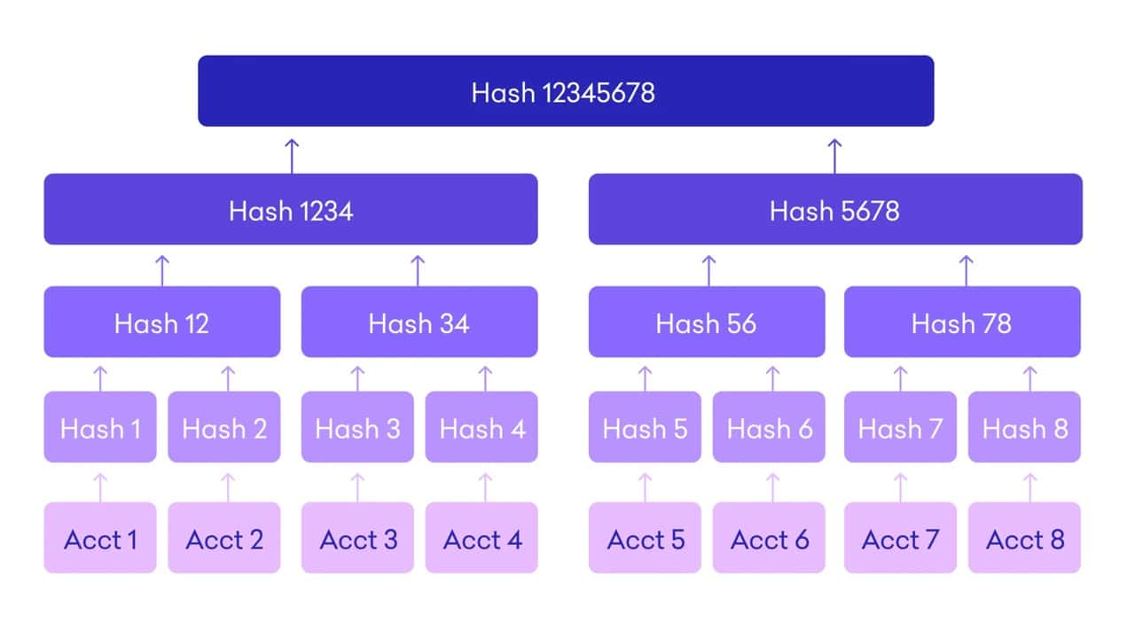 Kraken Merkle Tree