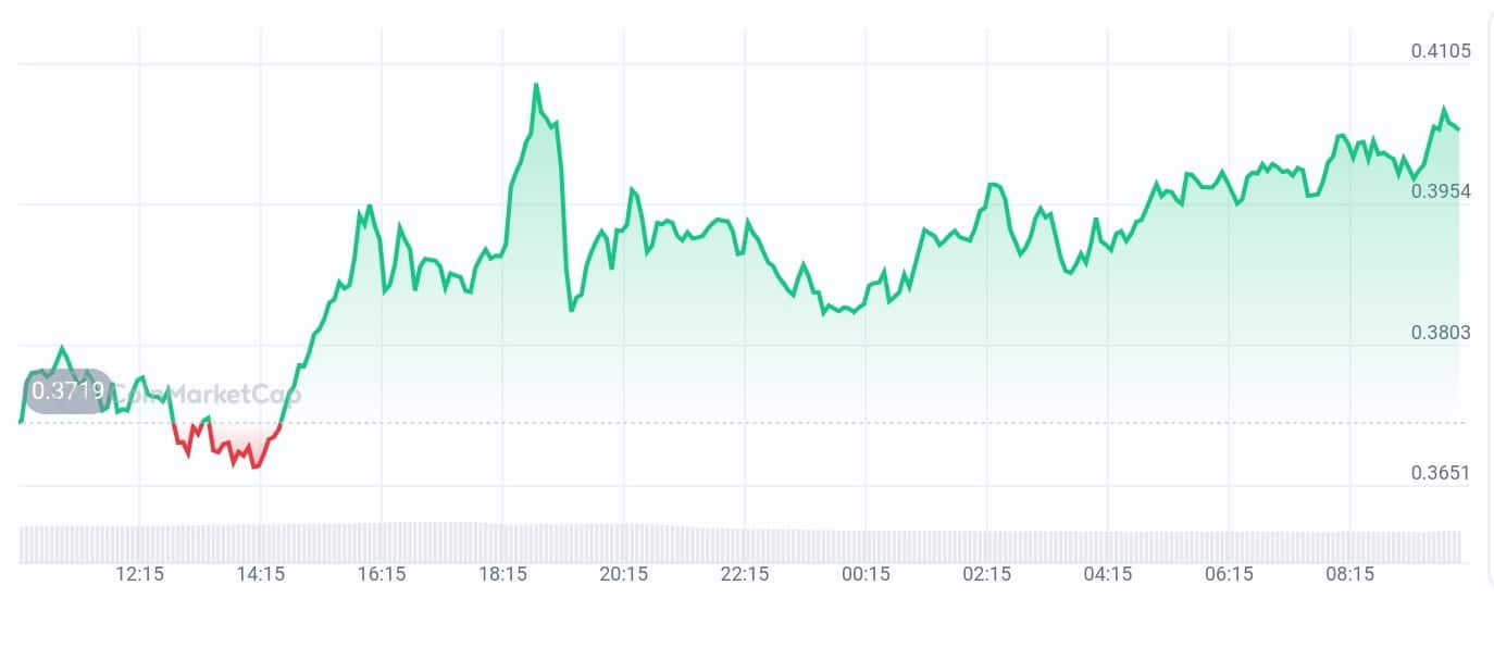 Maple price chart