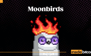 Moonbirds_optimized
