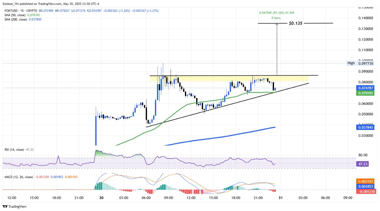 Pocket Network Price