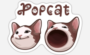 POPCAT