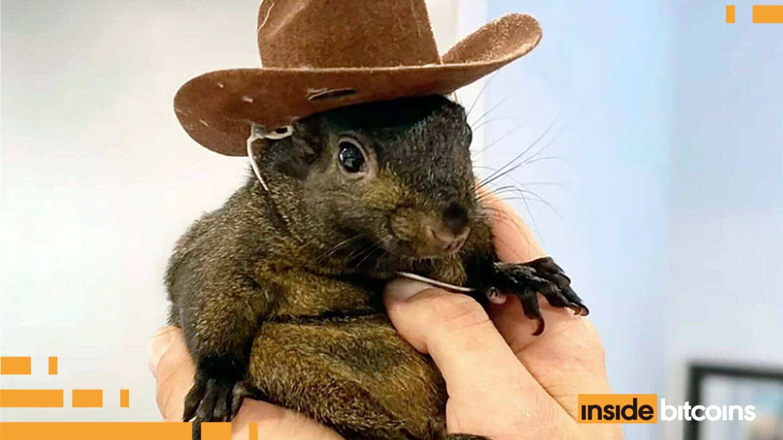 Peanut the Squirrel