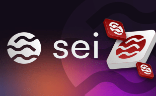 SEI