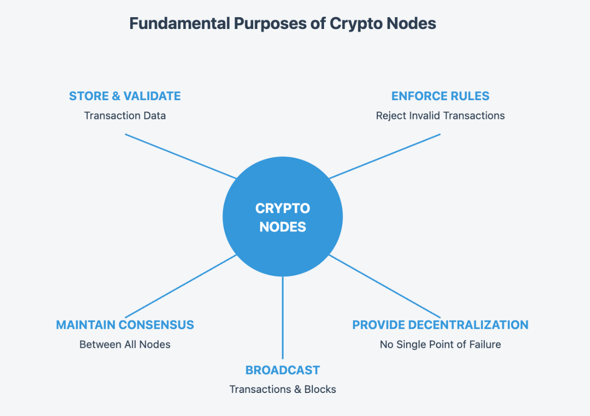 purpose of nodes
