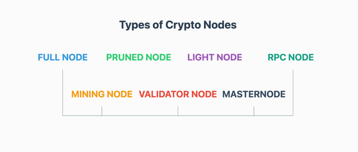 types of nodes