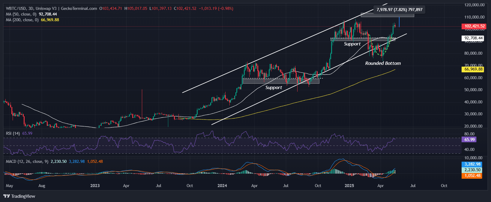 Bitcoin Price Chart Analysis Source: GeckoTerminal
