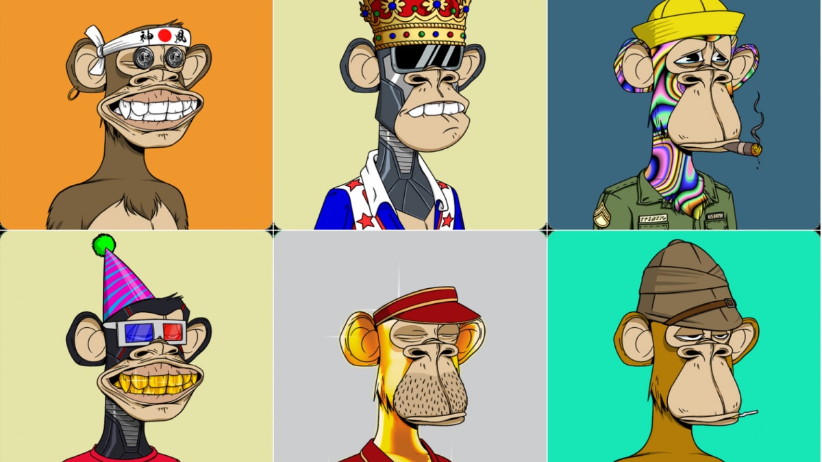 Bored Ape Yacht Club NFTs