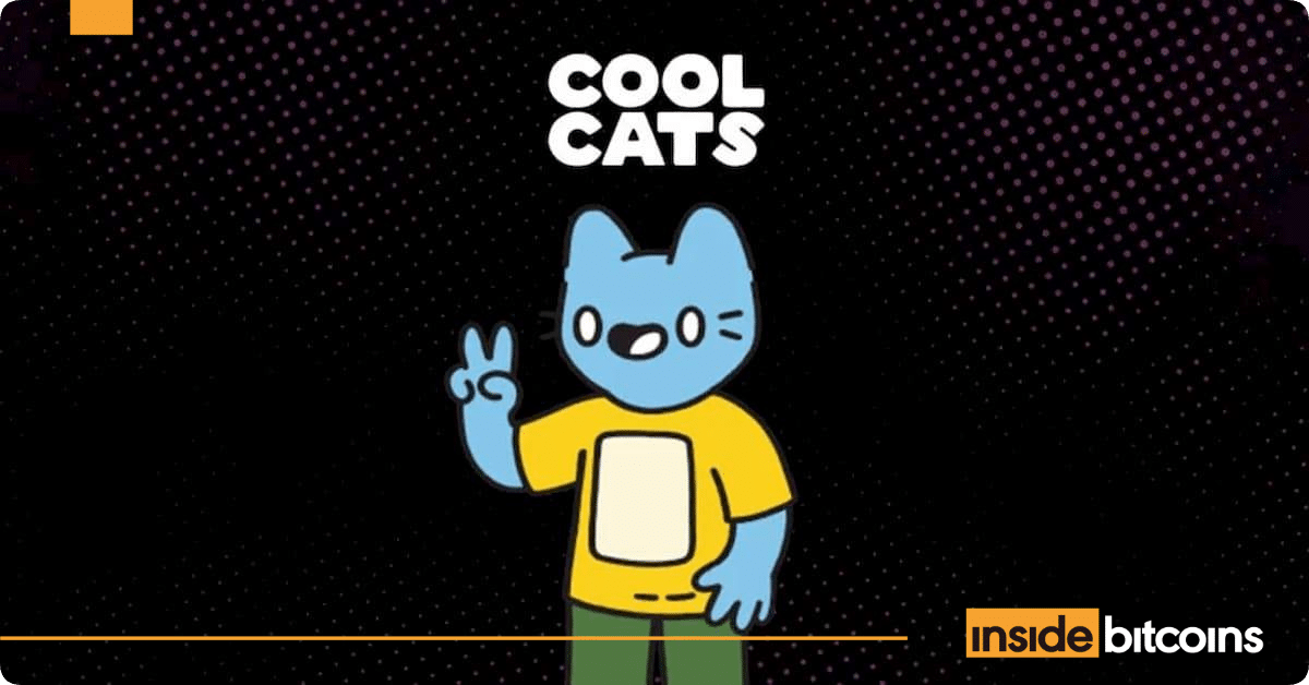 cool-cats_optimized