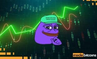 Purple Pepe Price