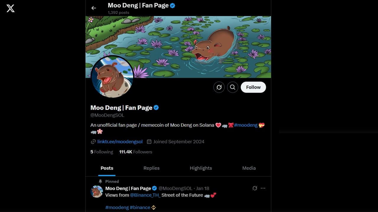 Moo Deng crypto X page